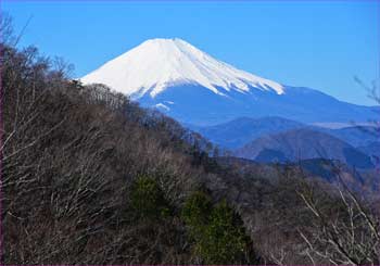 富士山