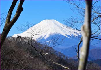 雨山峠の富士