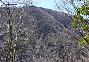 雨山