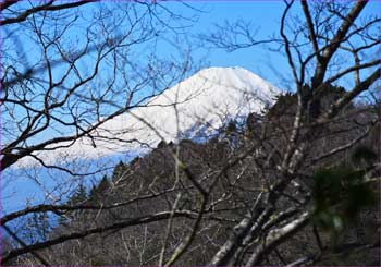 富士山