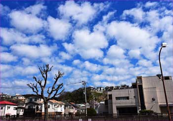 久里浜の空