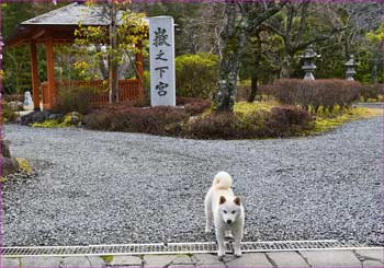 嶽之下宮