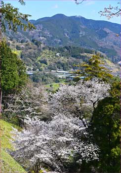 高松山