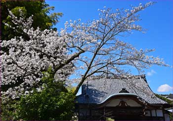 盛翁寺