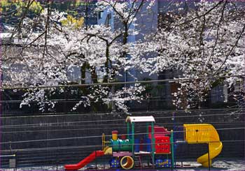 鉄道公園