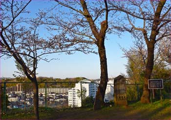 伊勢山公園