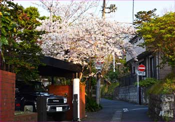 登山口