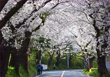 花道