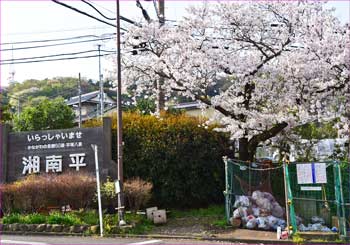 万田口