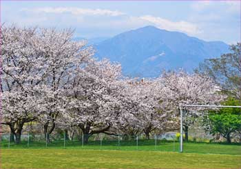 大山