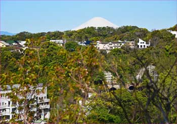 富士山展望