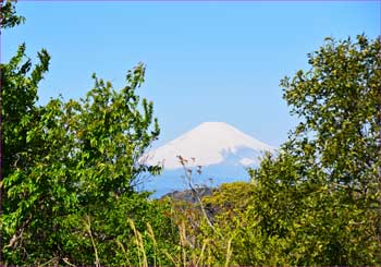 富士山