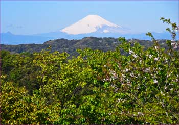 富士山