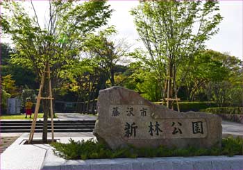 新林公園