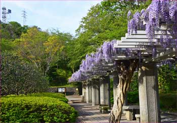 新林公園で