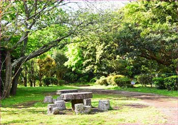 片瀬山公園