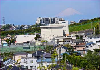 富士展望