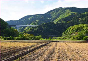 谷峨田んぼ