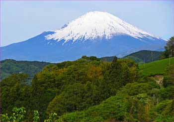 野背開戸富士