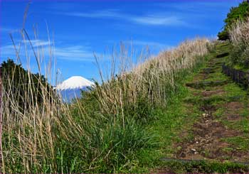 富士山