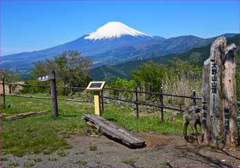 大野山山頂