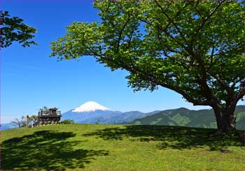 山頂富士