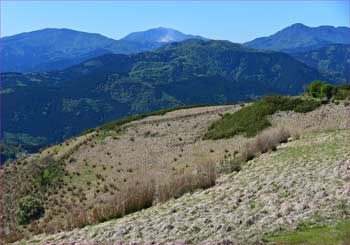 箱根山