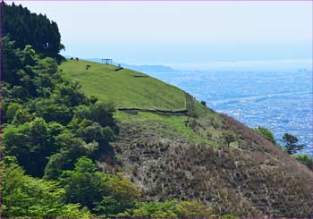 薫る野牧場