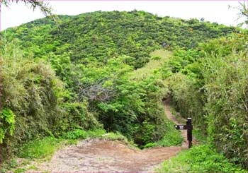 宮城野分岐