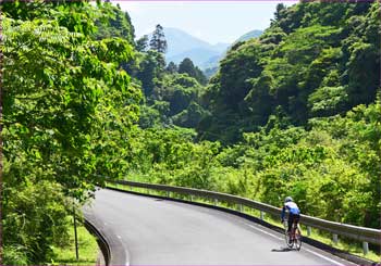 サイクリング野郎