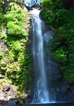 大棚の滝