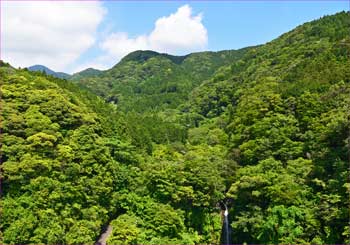 須津渓谷奥山