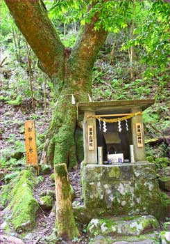 須津山神社