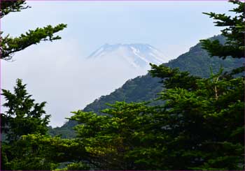 富士山見ゆ