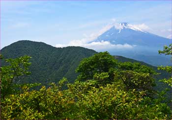 富士山