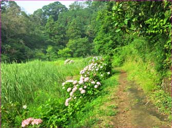 川名里山