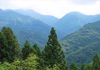 秦野峠方面