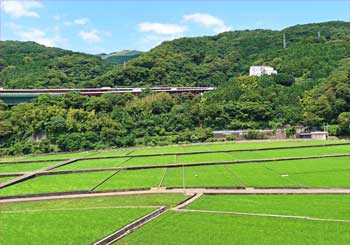 大野山