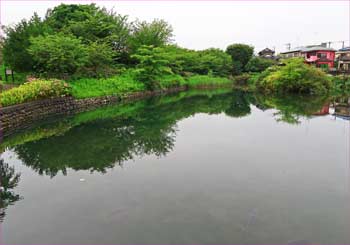 今泉桜池