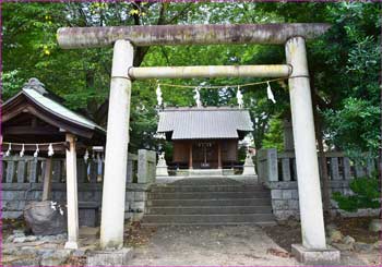 津島神社鳥居