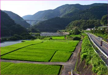 谷峨の田んぼ