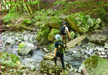 登山者が