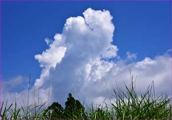 夏雲が