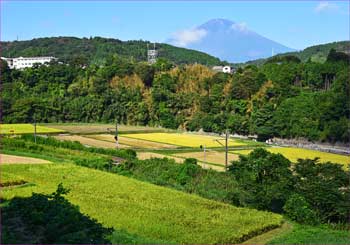 田園富士