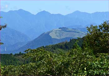 大野山