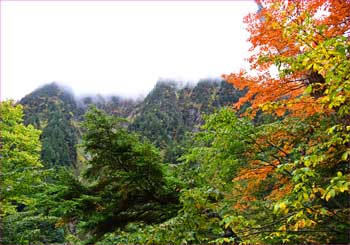 爺ヶ岳雲の中