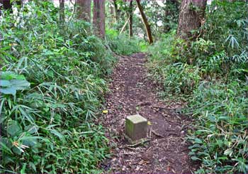 山頂三角点