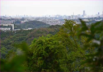 横浜展望