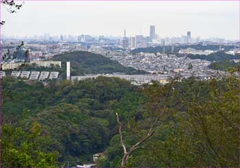 横浜展望