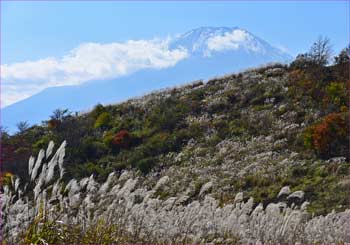 富士山